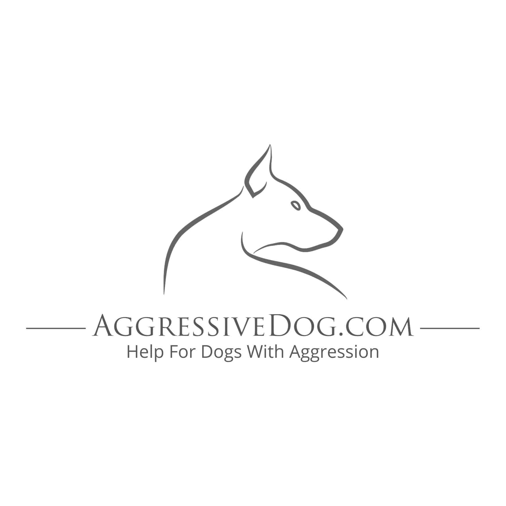 CHIEN RÉACTIF<br />